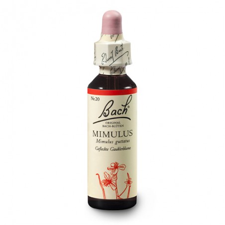 Kroplik (Mimulus) 20 ml – esencja kwiatowa dr Bacha Nelsons