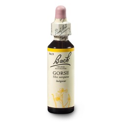 Kolcolist zachodni (Gorse) 20 ml – esencja kwiatowa dr Bacha Nelsons