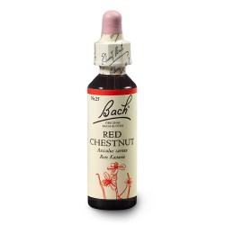 Kasztanowiec czerwony (Red Chestnut) 20 ml – esencja kwiatowa dr Bacha Nelsons