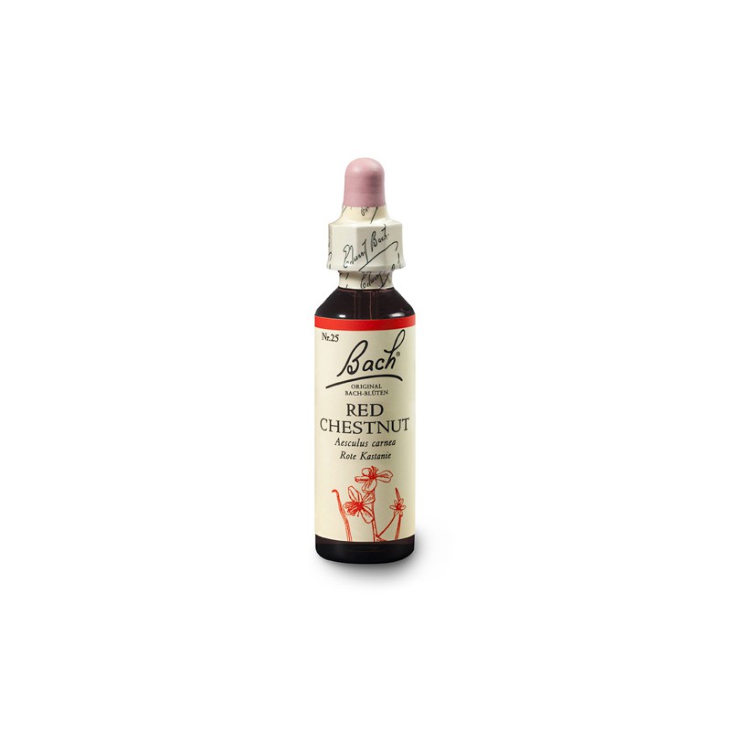 Kasztanowiec czerwony (Red Chestnut) 20 ml – esencja kwiatowa dr Bacha Nelsons