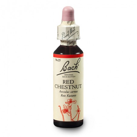 Kasztanowiec czerwony (Red Chestnut) 20 ml – esencja kwiatowa dr Bacha Nelsons