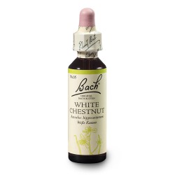 Kasztanowiec biały (White Chestnut) 20 ml – esencja kwiatowa dr Bacha Nelsons