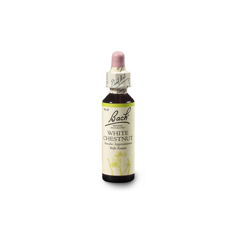 Kasztanowiec biały (White Chestnut) 20 ml – esencja kwiatowa dr Bacha Nelsons