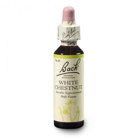 Kasztanowiec biały (White Chestnut) 20 ml – esencja kwiatowa dr Bacha Nelsons