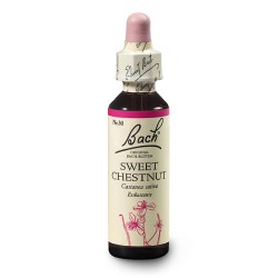 Kasztan jadalny (Sweet Chestnut) 20 ml – esencja kwiatowa dr Bacha Nelsons