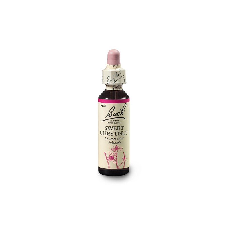 Kasztan jadalny (Sweet Chestnut) 20 ml – esencja kwiatowa dr Bacha Nelsons