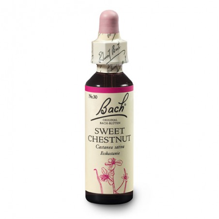 Kasztan jadalny (Sweet Chestnut) 20 ml – esencja kwiatowa dr Bacha Nelsons