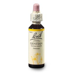Goryczka gorzkawa (Gentian) 20 ml – esencja kwiatowa dr Bacha Nelsons