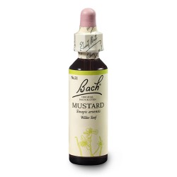 Gorczyca polna (Mustard) 20 ml – esencja kwiatowa dr Bacha Nelsons
