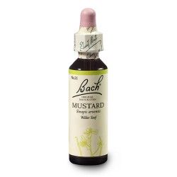 Gorczyca polna (Mustard) 20 ml