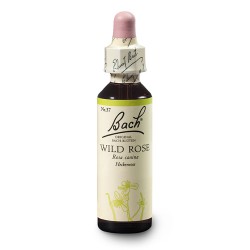 Dzika róża (Wild Rose) 20 ml – esencja kwiatowa dr Bacha Nelsons