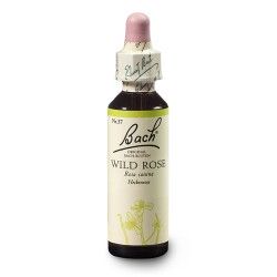 Dzika róża (Wild Rose) 20 ml