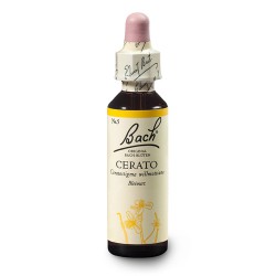 Cerato (Cerato) 20 ml – esencja kwiatowa dr Bacha Nelsons