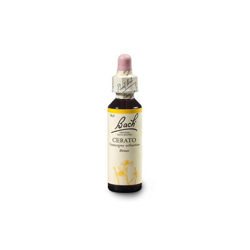 Cerato (Cerato) 20 ml – esencja kwiatowa dr Bacha Nelsons