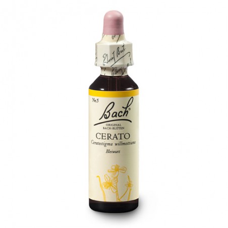 Cerato (Cerato) 20 ml – esencja kwiatowa dr Bacha Nelsons