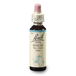 Buk czerwony (Beech) 20 ml