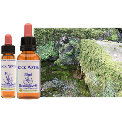 Woda źródlana (Rock Water) – esencja kwiatowa dr Bacha