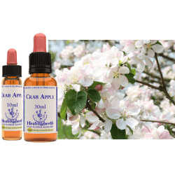 Jabłoń płonka (Crab Apple) – esencja kwiatowa dr Bacha