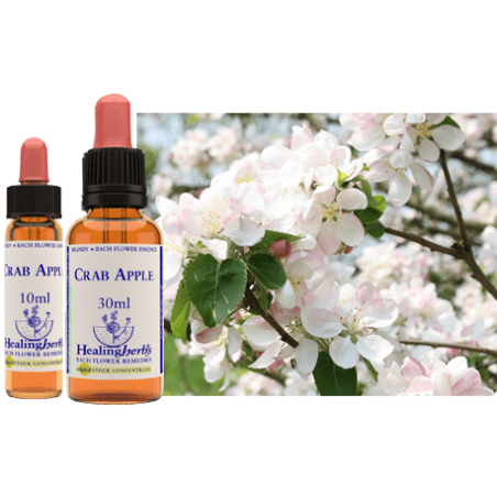 Jabłoń płonka (Crab Apple) – esencja kwiatowa dr Bacha