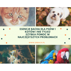 Esencje Bacha dla Zwierząt...