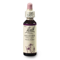 Wrzos pospolity (Heather) 20 ml – esencja kwiatowa dr Bacha Nelsons