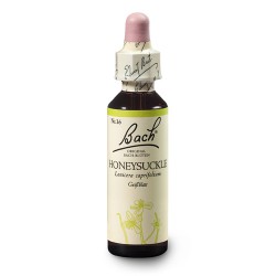 Wiciokrzew przewierceń (Honeysuckle) 20 ml – esencja kwiatowa dr Bacha Nelsons