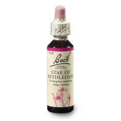 Śniedek baldaszkowaty (Star of Bethlehem) 20 ml – esencja kwiatowa dr Bacha Nelsons