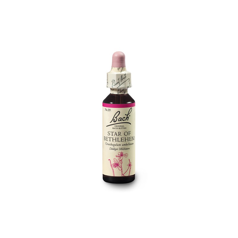 Śniedek baldaszkowaty (Star of Bethlehem) 20 ml – esencja kwiatowa dr Bacha Nelsons