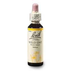 Stokłosa gałązista (Wild Oat) 20 ml – esencja kwiatowa dr Bacha Nelsons