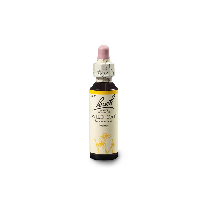 Stokłosa gałązista (Wild Oat) 20 ml – esencja kwiatowa dr Bacha Nelsons