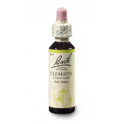 Powojnik pnący (Clematis) 20 ml – esencja kwiatowa dr Bacha Nelsons