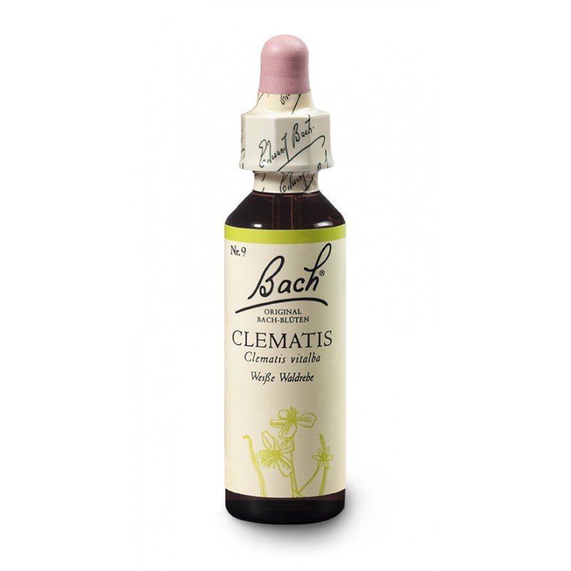 Powojnik pnący (Clematis) 20 ml – esencja kwiatowa dr Bacha Nelsons