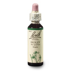 Ostrokrzew (Holly) 20 ml – esencja kwiatowa dr Bacha Nelsons