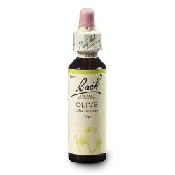 Oliwka (Olive) 20 ml